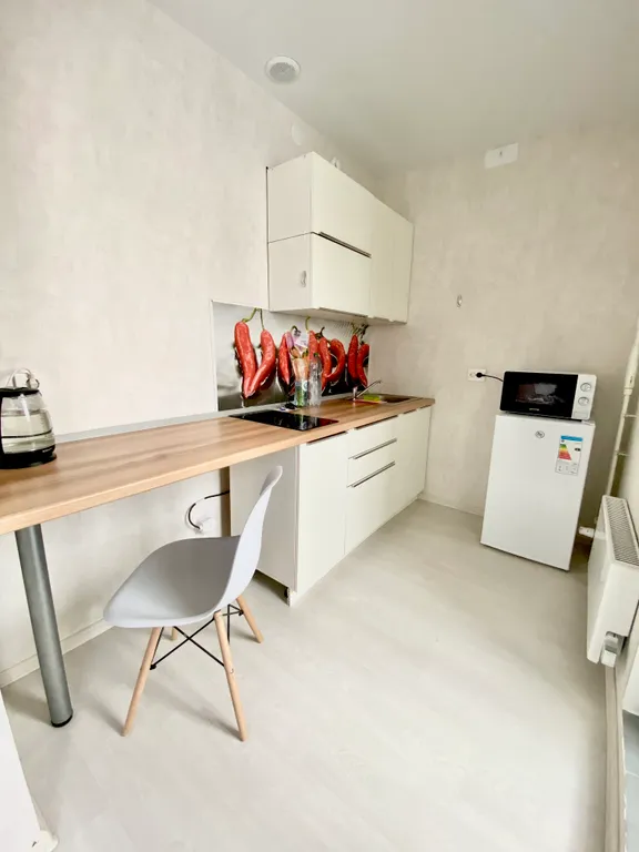 Уютная студия в эко-зоне «Малышевские гривы» (5 мин от м/а Чкалов)