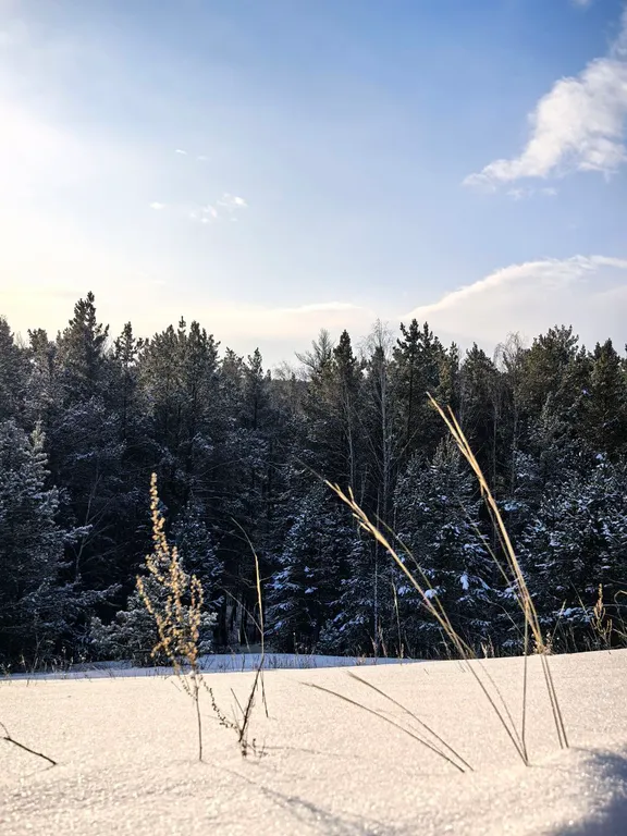 Дом на озере Увильды