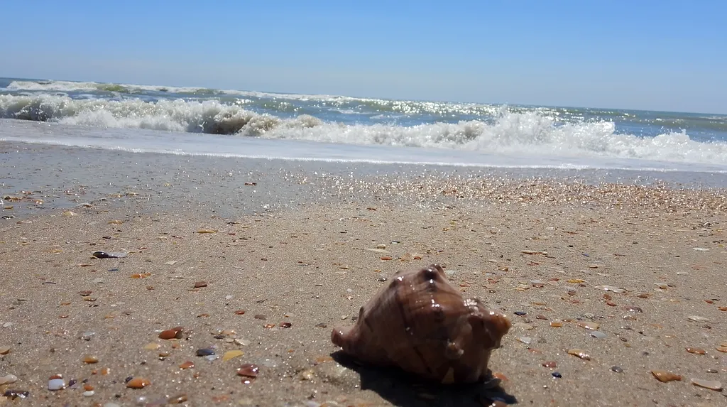 2-местный эконом