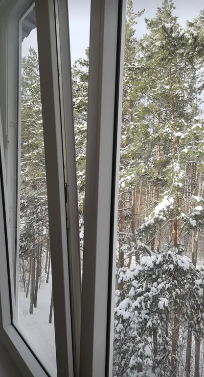 Уютная квартира с видом на сосновый бор