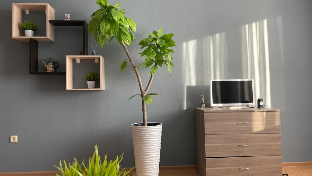 Квартира Двухкомнатные апартаменты airy bliss в новом доме для 6х — Новосибирск