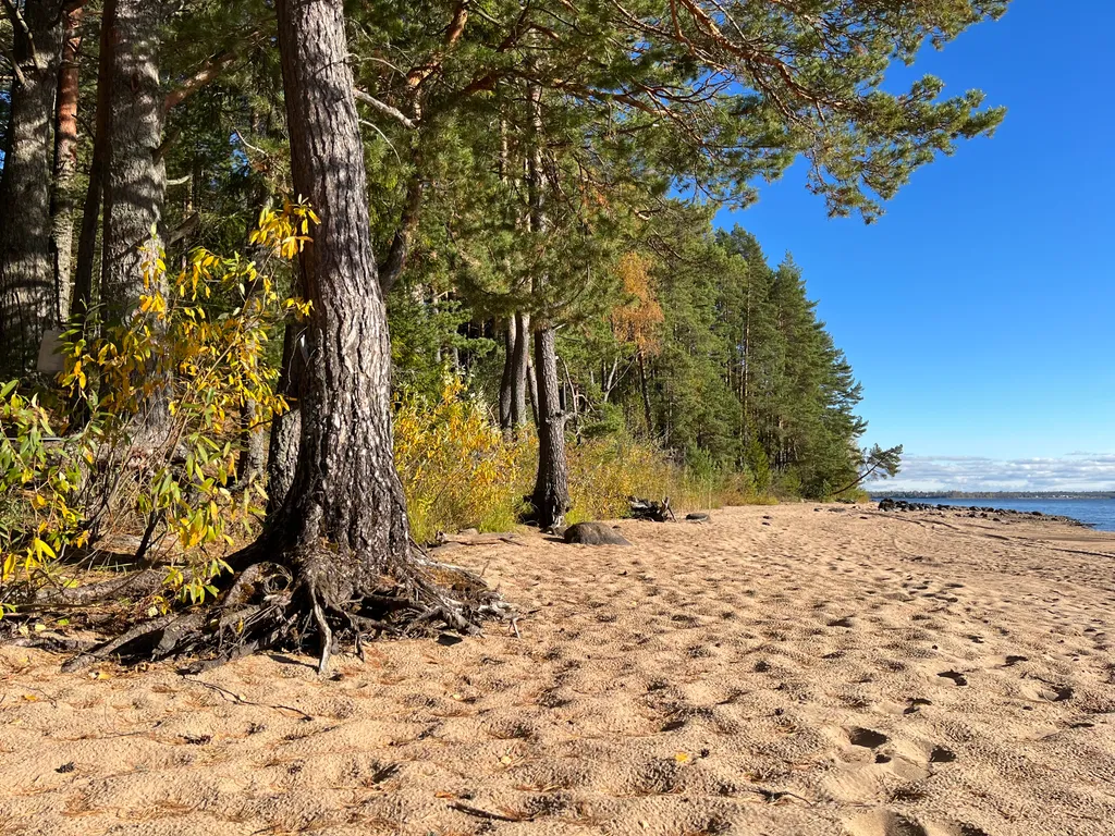 Коттедж Коттедж на озере Волго на Селигере в сосновом бору — Турбаза Чайка