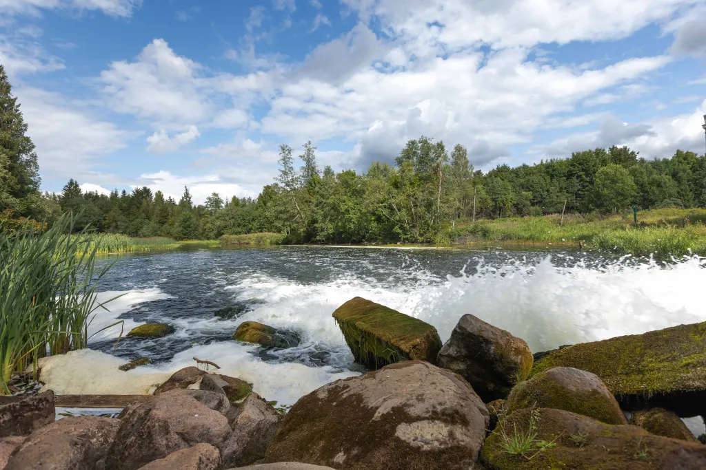 Коттедж 4-комнатный Дом — Санкт-Петербург