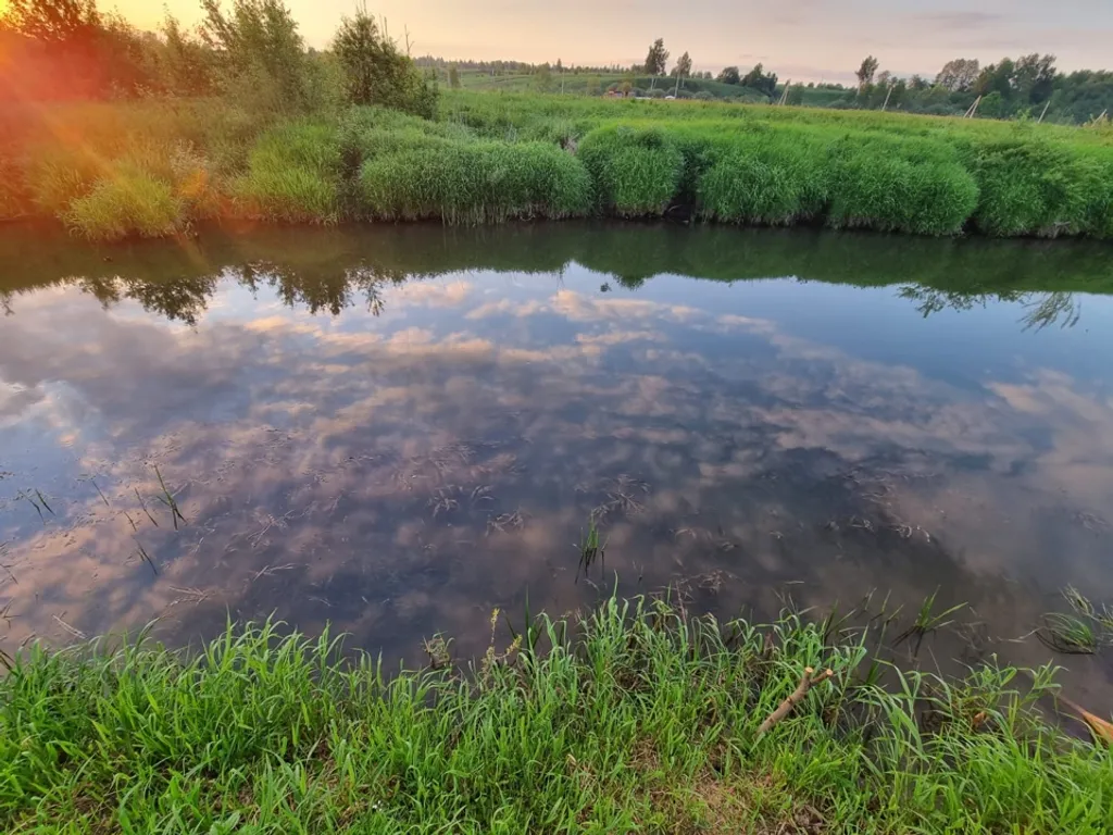 Коттедж Эдем