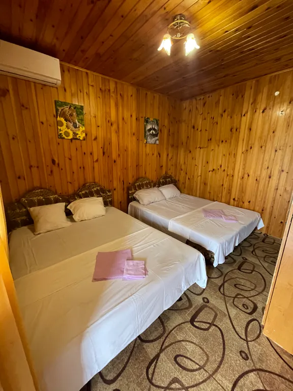 Квартира Четырехместный стандартный номер с кондиционером и санузлом в номере — аренда посуточно в Нижнее Учдере