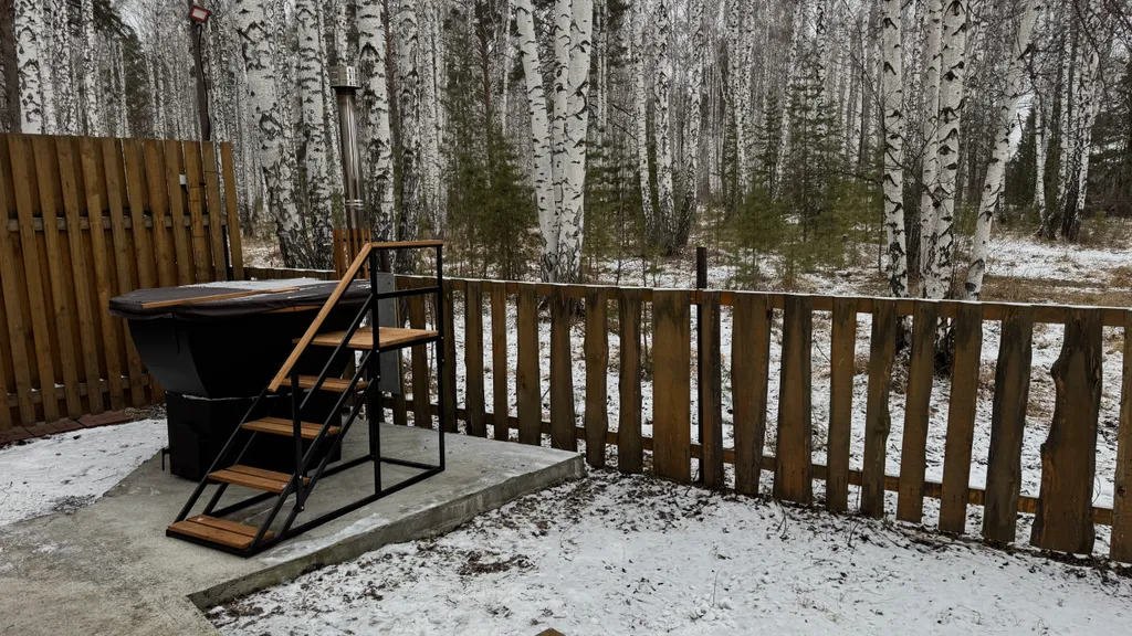 Дом Тихий Бор в березовом лесу