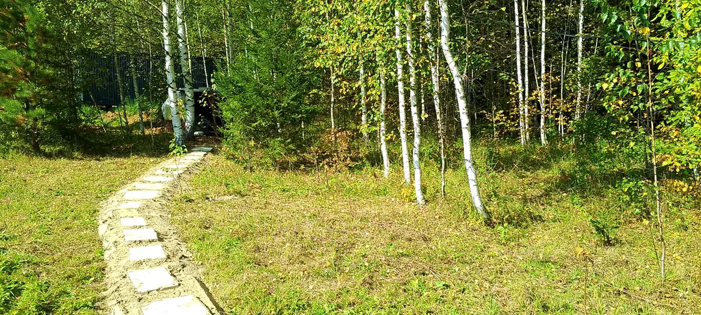 Уютный домик с комфортом  в лесу