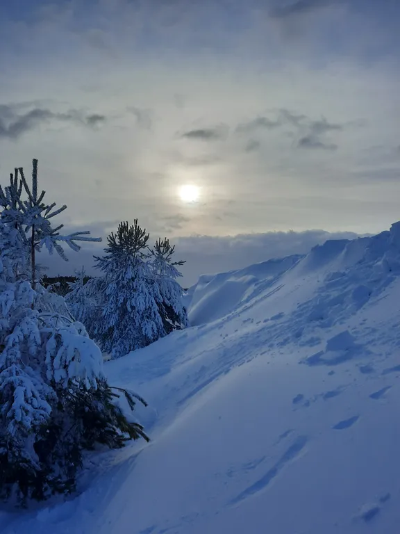 Коттедж Незабываемый отдых в доме с видом на реку и лес — Нурмойла