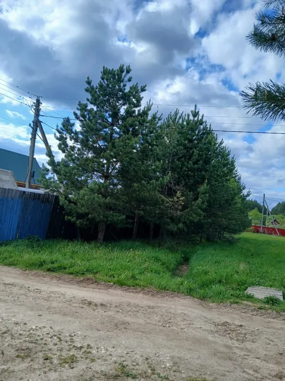 Деревянный дом