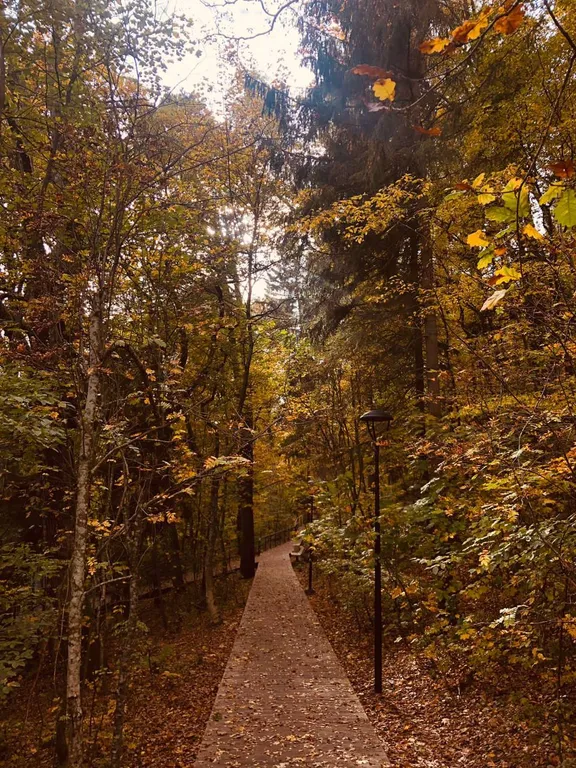 Квартира в санаторно-курортной зоне у моря