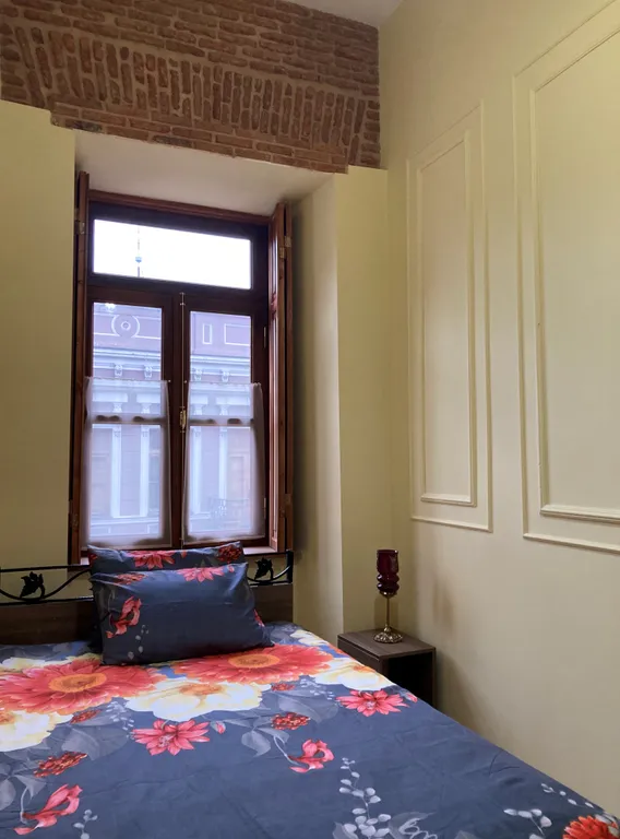 Апартаменты с двумя спальнями с историческим интерьером центр Тбилиси