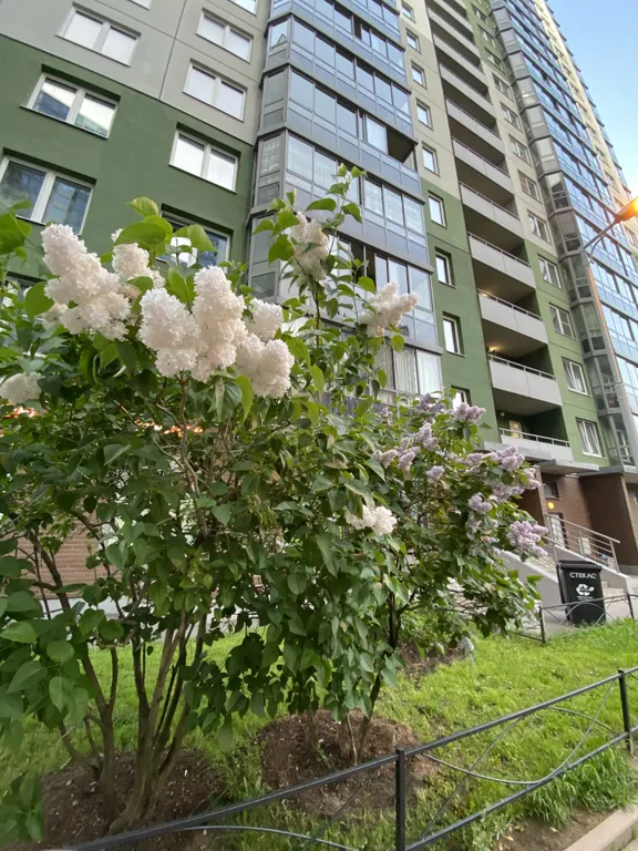 Евродвушка у метро - 400 метров!