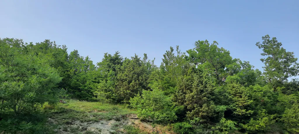 Комната с видом на Можжевеловый лес