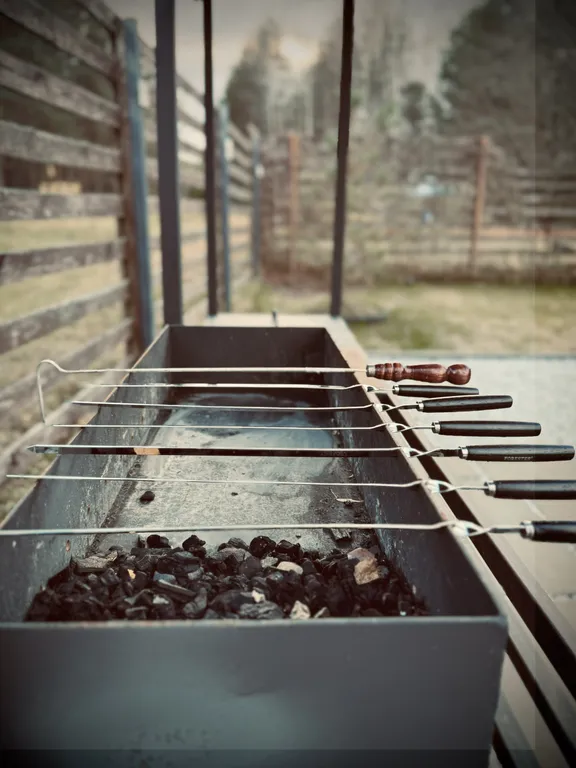 Дом у реки в сосновом лесу