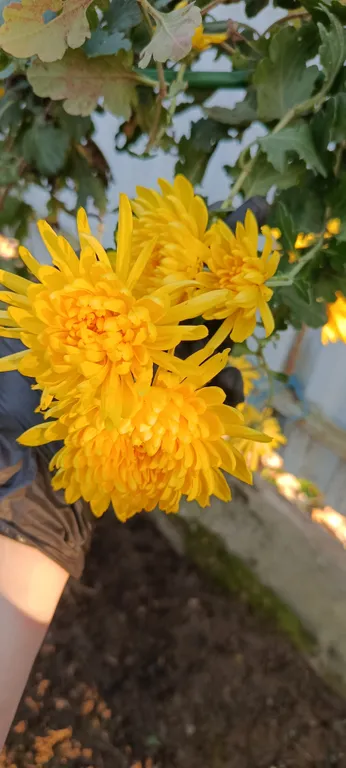 Двухкомнатные апартаменты на берегу моря