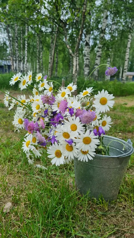 Коттедж Новый коттедж. Сауна и виды на природу-бесплатно — Санкт-Петербург
