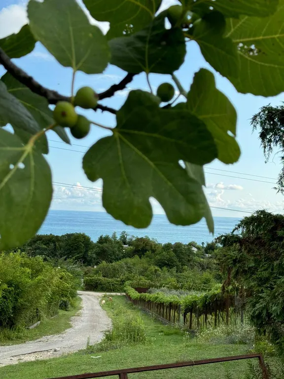Апартаменты с видом на море