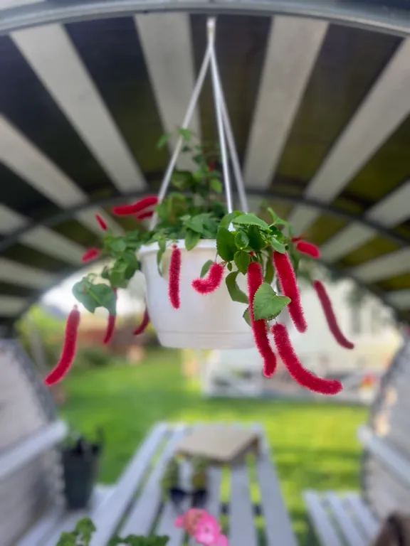 Усадьба со всеми удобствами