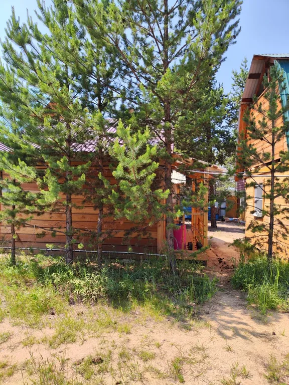 Комфортный сосновый дом