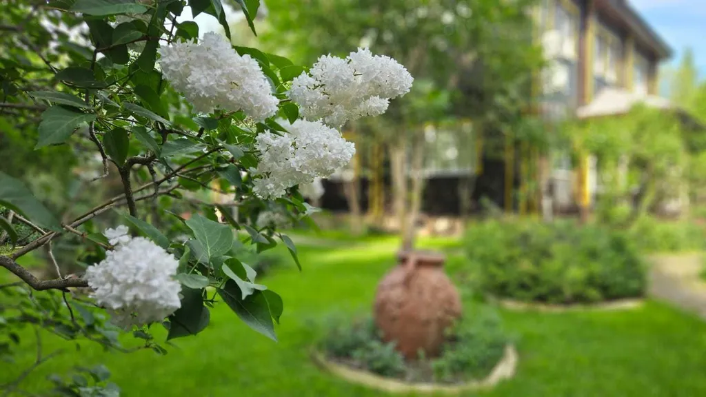 Уютный гостевой дом Живица