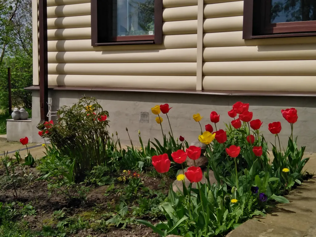 Дом возле Минска с баней-сауной, купель с аэро массаж