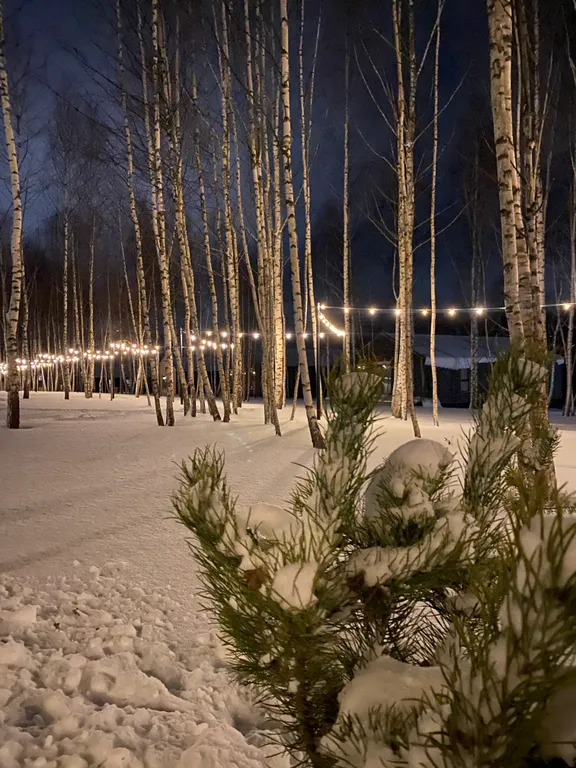 Дом на берегу Истринского водохранилища