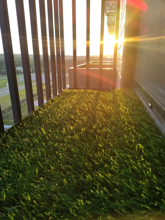 1 комнатная квартира лес