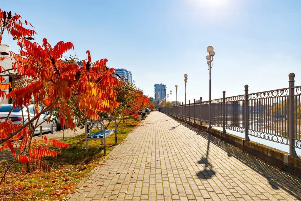 Квартира 1-комнатная Квартира — Краснодар