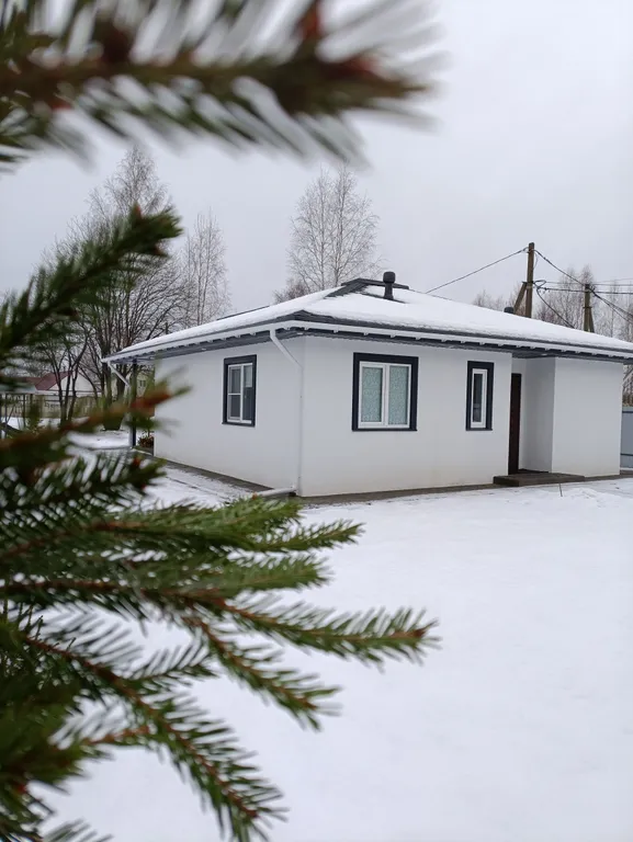 Дом с купелью