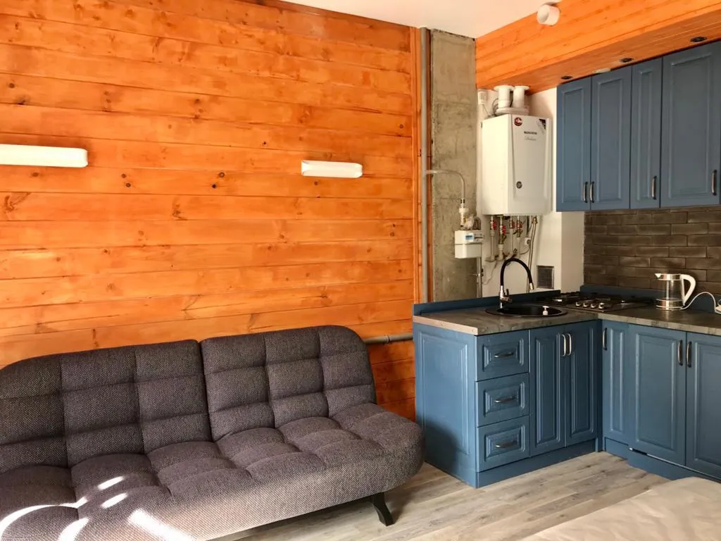 Уютная квартира в центральной части Красной Поляны