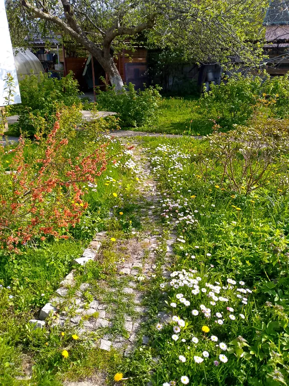 Квартира Уютное гнёздышко для двоих на море — Пионерский