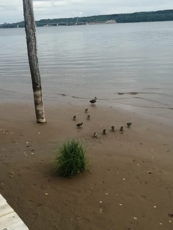 Эко комплекс Этнос на реке Чусовая, для семейного отдыха и туристов