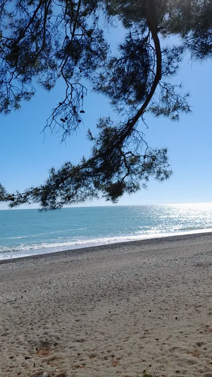 Квартира Рядом с морем. — аренда посуточно в Пицунда