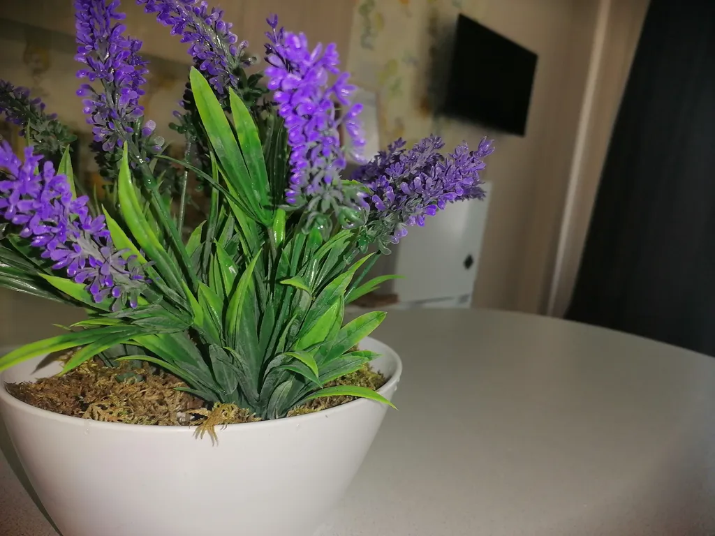 Квартира для семейного отдыха и деловых поездок