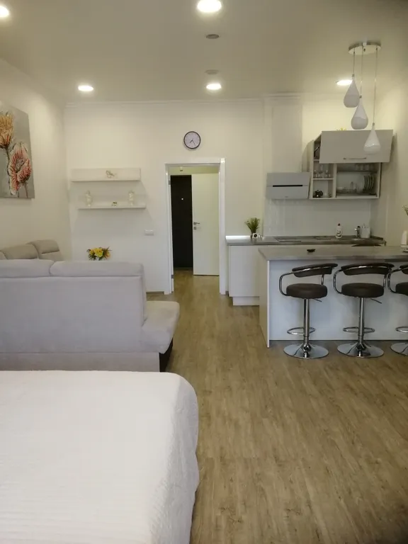 Квартира 1-комнатная Квартира — Светлогорск