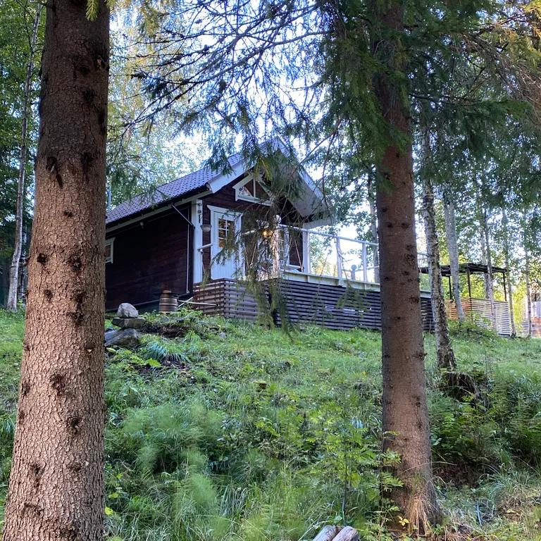 Дом-Баня у речки