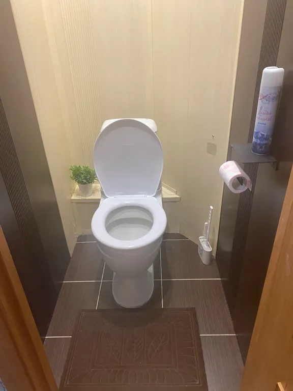 Красивые апартаменты с проектором и рабочим местом