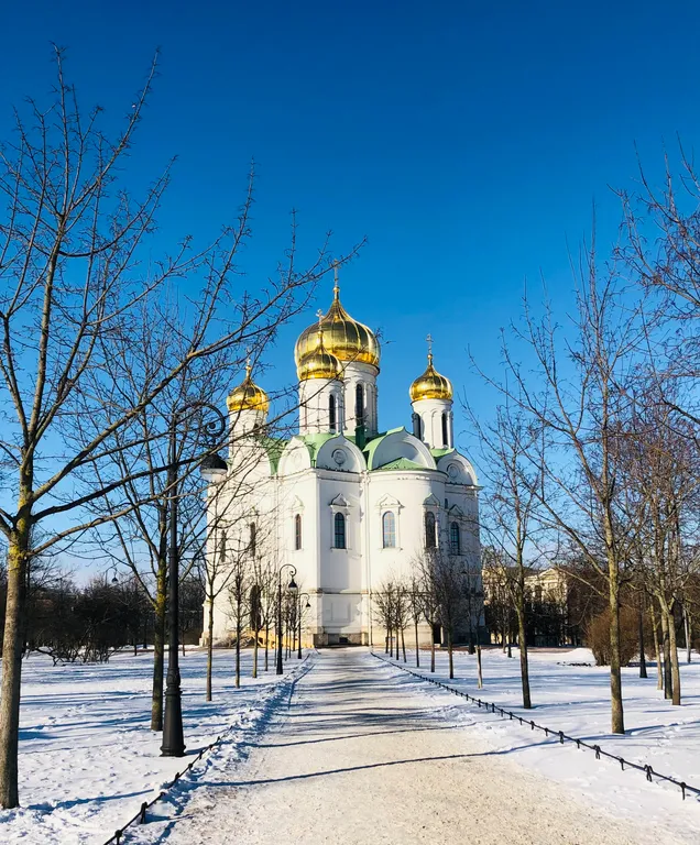 Квартира Квартира в центре — Пушкин