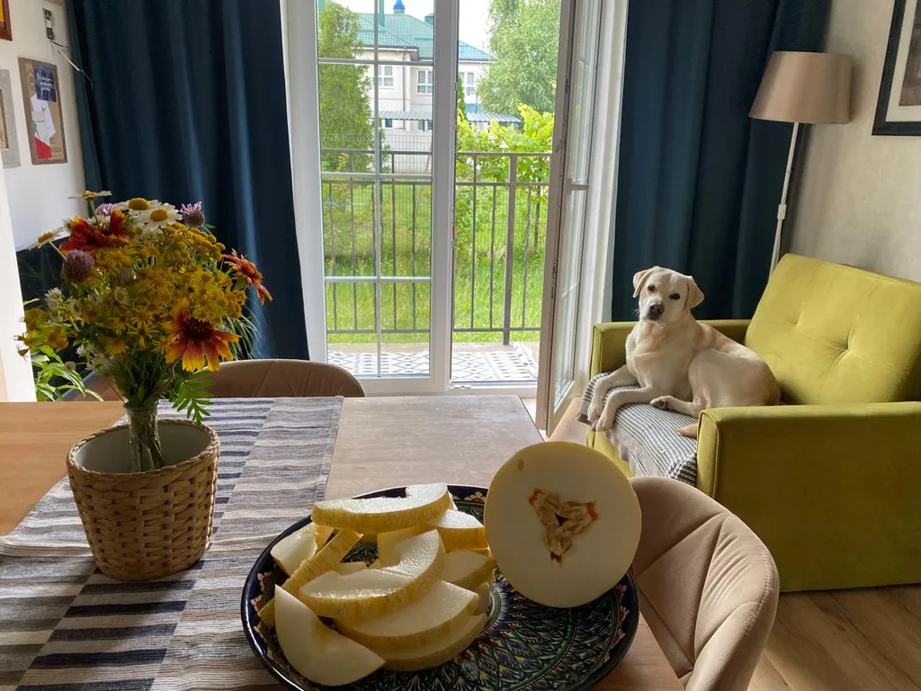 Квартира Загородная + мангальная зона — аренда посуточно в Светлогорск