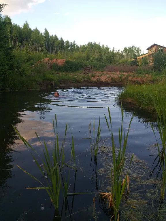 Авторский домик В ЛЕСУ - "Карельский"