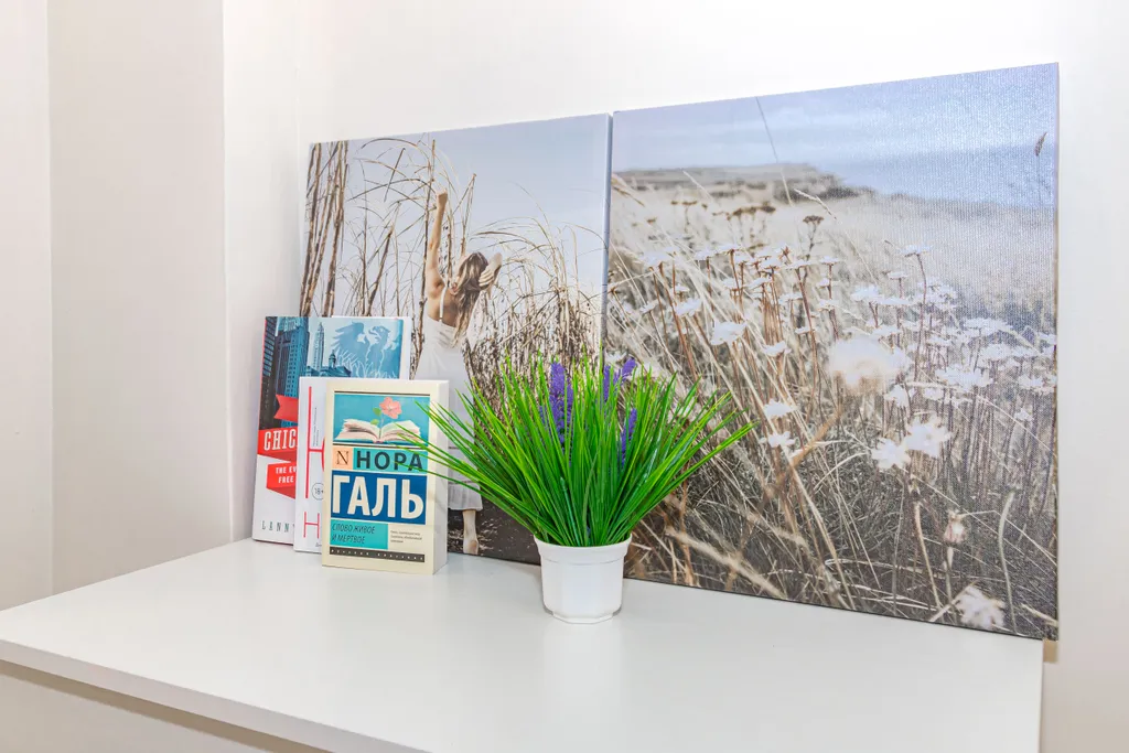 Квартира в центре левого берега