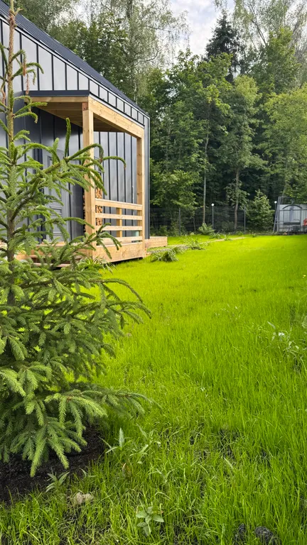 Домик в лесу