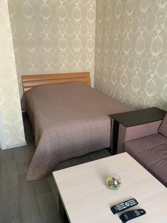 Шикарная однокомнатная квартира в 2-х минутах от остановки. — аренда посуточно в Придорожный