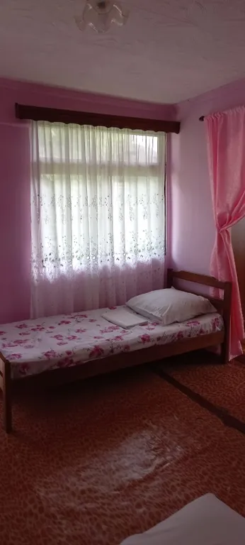 Коттедж Гостевой дом Бамбук — Гагра