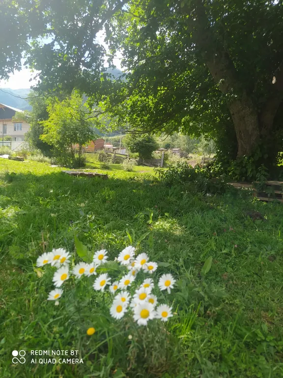 Уютные домики с видом на горы