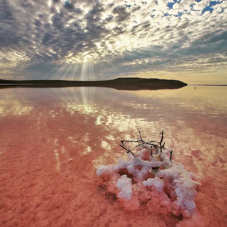 1-комнатная уютная квартира