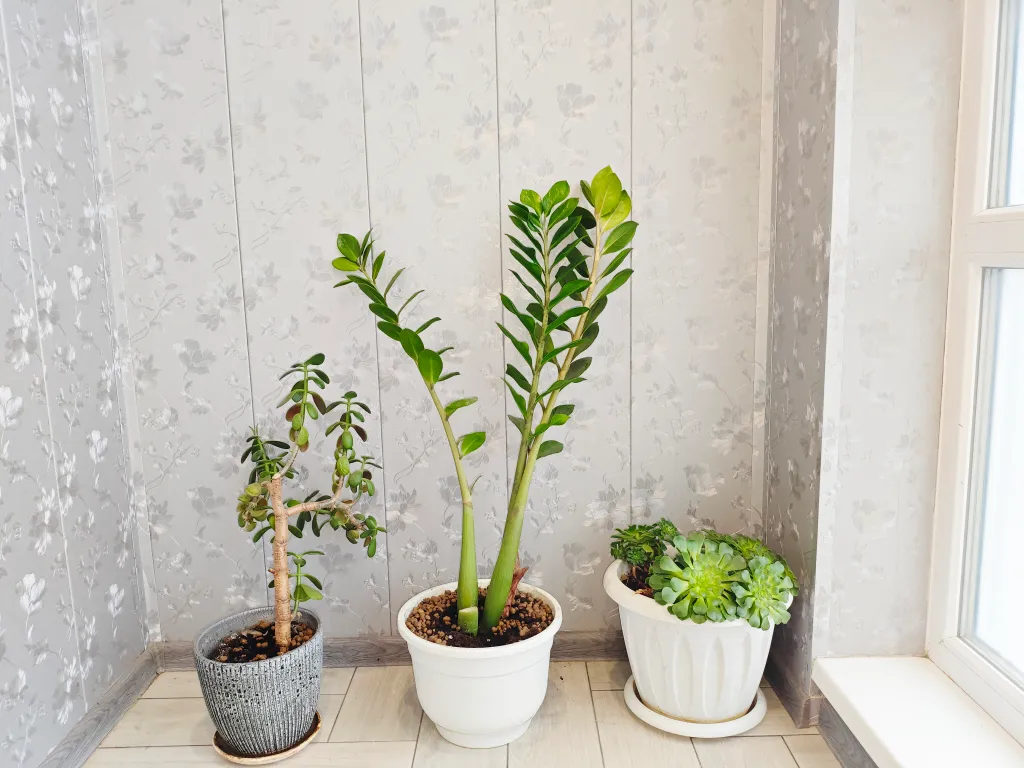 Комфортная квартира в центре города