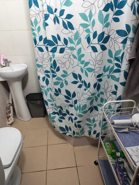 Бюджетное размещение