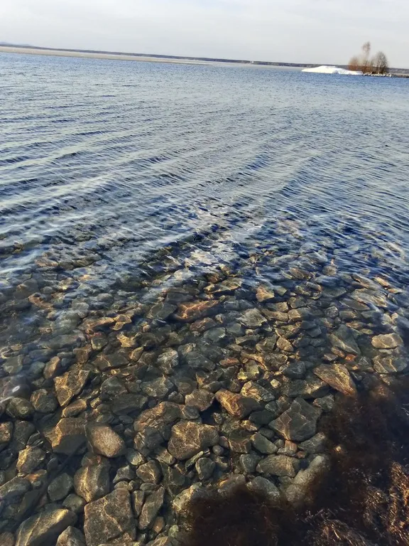 Дом в лесу на берегу озера Увильды