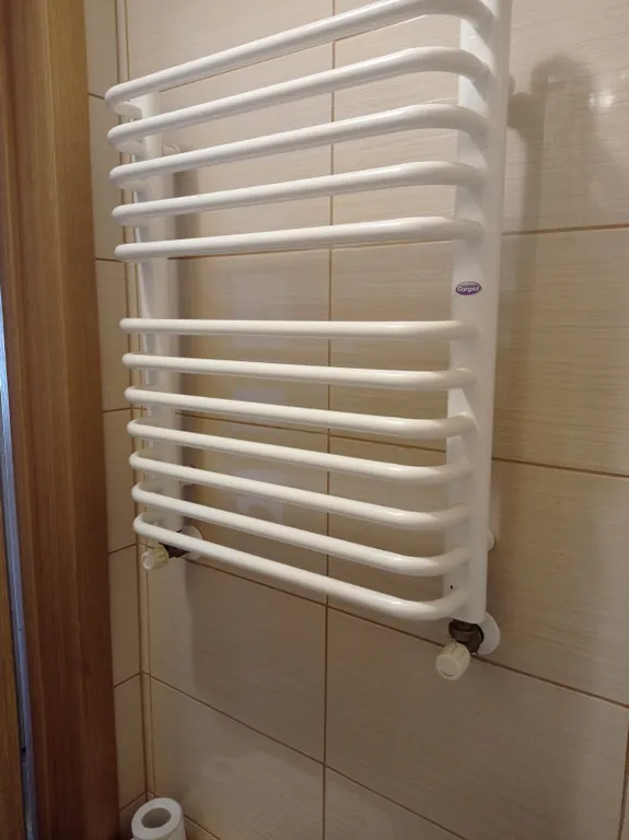 Квартира Уютная квартира — Светлогорск